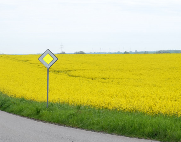 Foto: Hauptstraße mit Beschilderung vor einem blühenden Rapsfeld