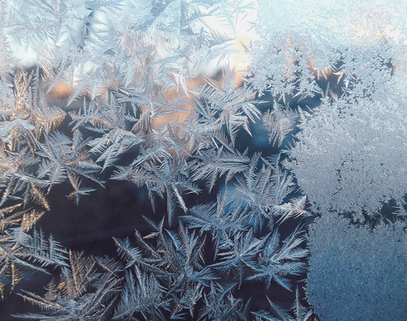 Eisblumen auf Fenster