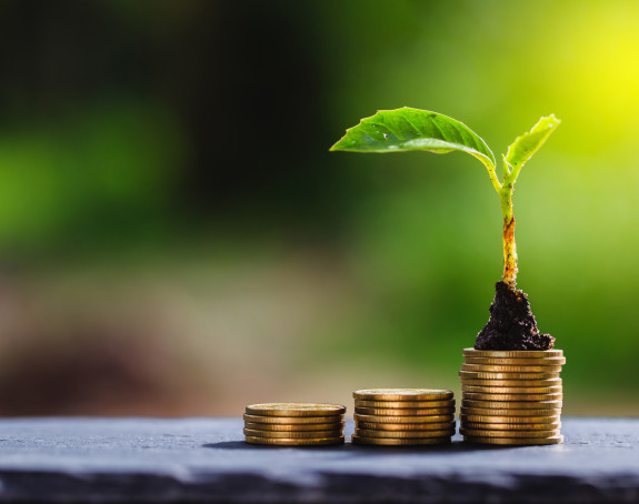 Sustainable Finance Sustainable Finance